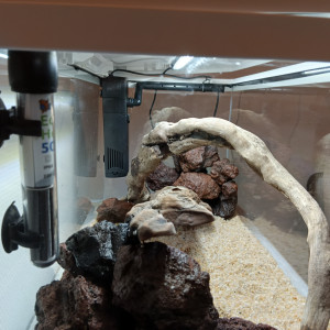 Publication de james-zaug