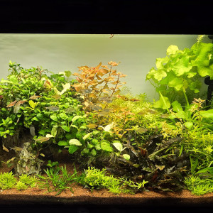 Publication de boubou59