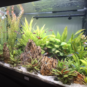 Publication de Guiguidu57