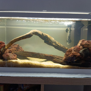 Publication de james-zaug