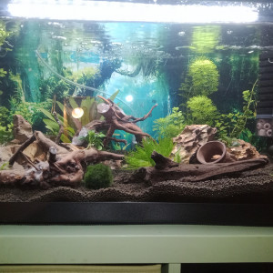 Publication de mardon