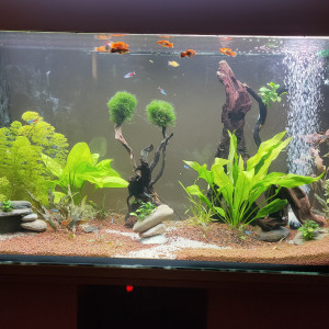 Publication de Toinou314