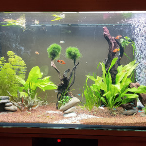 Publication de Toinou314