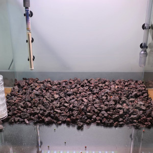 Publication de boubou59