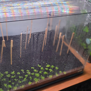 Publication de boubou59