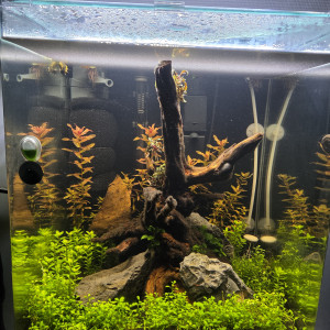 Nano 60L