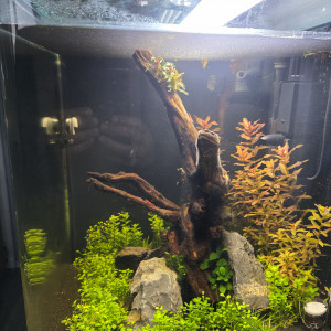 Publication de jbaptistide