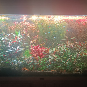 Publication de Ironangel1981