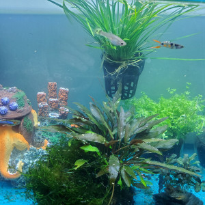 Publication de Mariekiwi