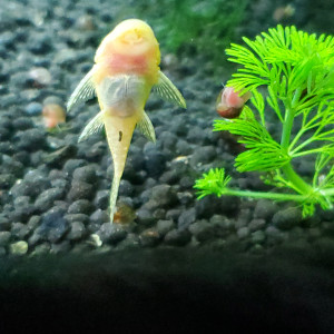 Publication de Mariekiwi