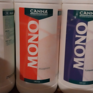 Publication de STK54