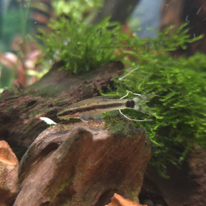 Publication de Yannick66