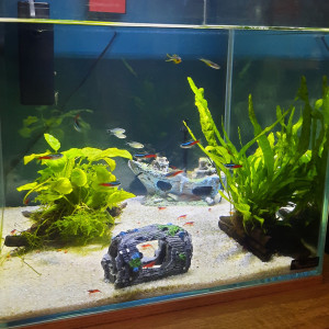 Publication de LeaCaroNathi