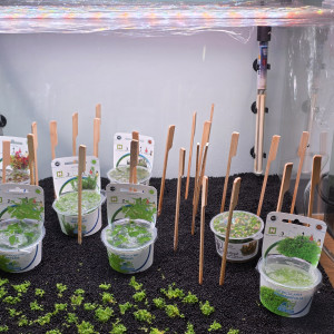 Publication de boubou59