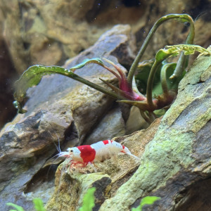 Publication de Rafael_78