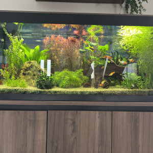 Publication de Anto09820