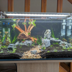 Naturel aquarium