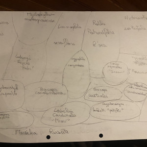 Futur projet lointain