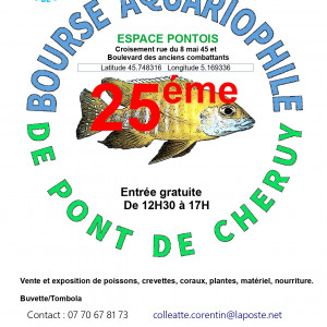 Publication de NEGUS69