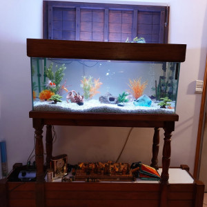 Aquarium 240 litres