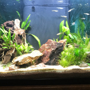 Publication de CriCri07