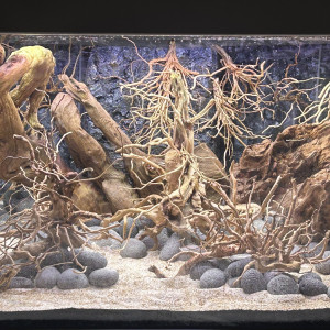 Publication de JPS31