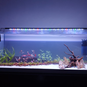 Publication de Lgn02