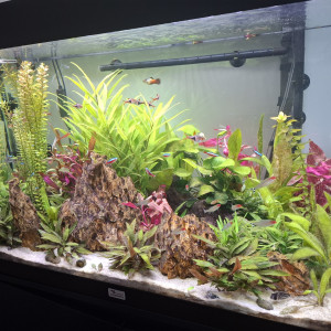 Publication de Guiguidu57