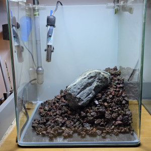 Publication de boubou59