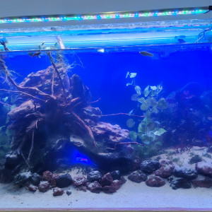 Publication de Flo83