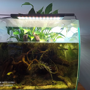 Publication de Yoannikko