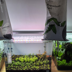 Publication de boubou59