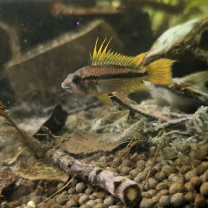 Publication de Loic26