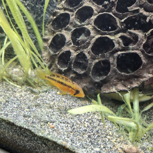 Publication de StephL