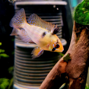 Publication de fmaill14