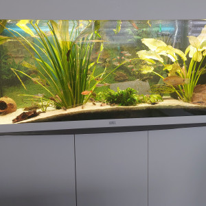 Publication de Ddier