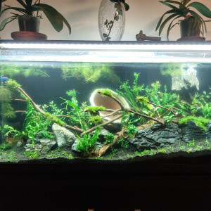 Publication de cyberic64