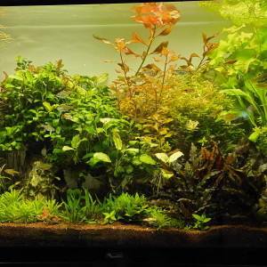 Publication de boubou59