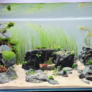 Publication de Stephane83