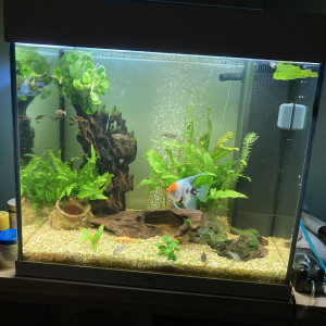 Publication de Julie79