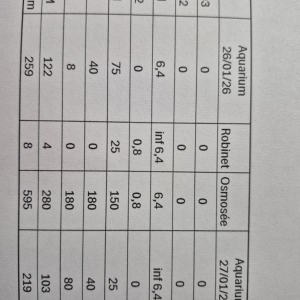 Publication de Leptitloulou