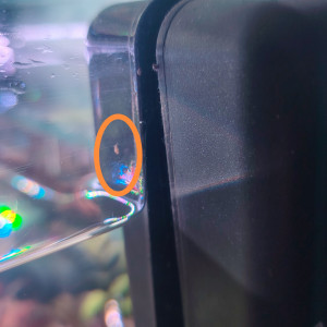 Publication de Flo83