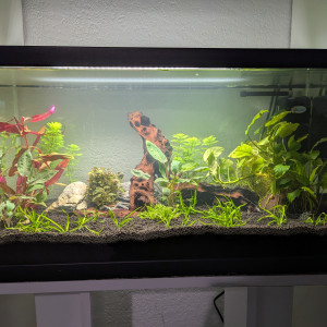 Publication de Eosss