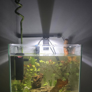 Publication de Santos13