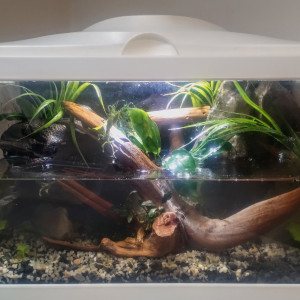 Recup Palu Aquaterrarium