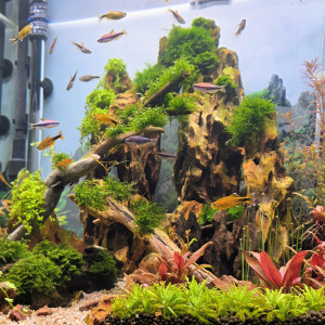 Publication de Yannick66