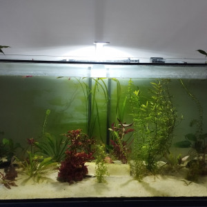 Publication de Lou.M