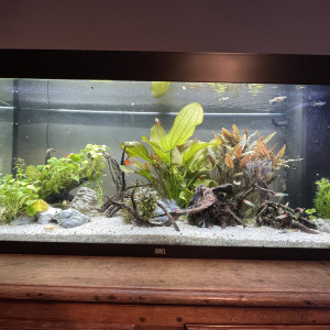 Publication de Merlouh