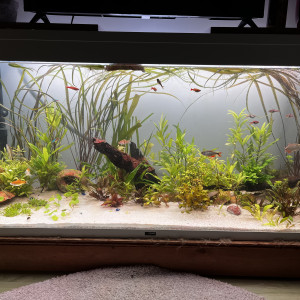 Publication de remy.giog