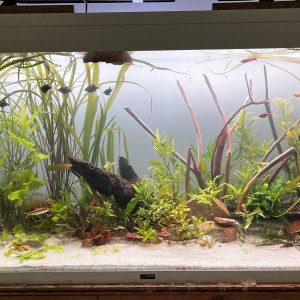 Publication de remy.giog